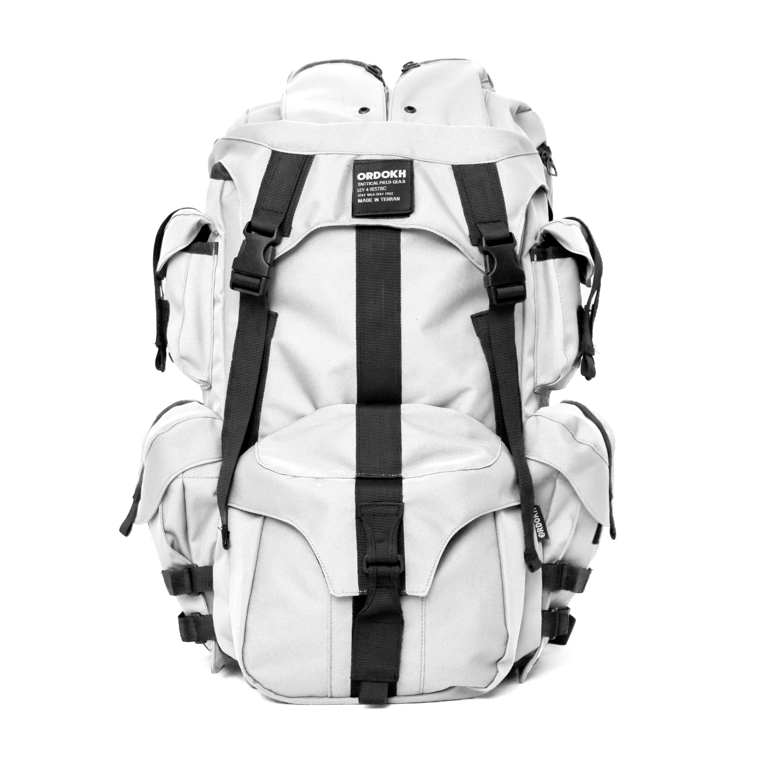 کوله پشتی T2